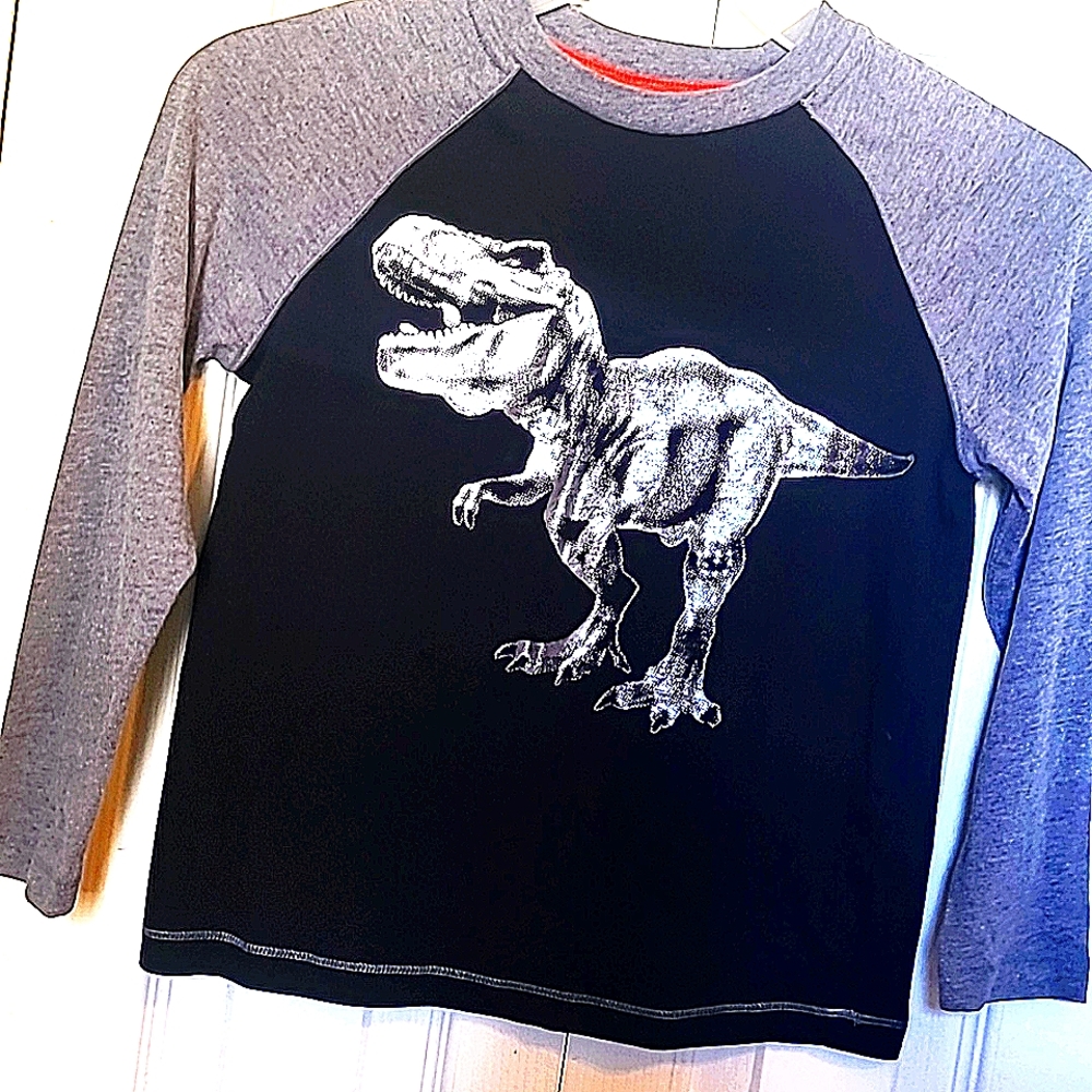 Arizona size 6/7 Black with Metallic Silver T-Rex